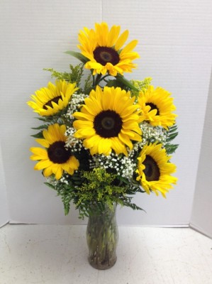 <img src="image.gif" alt="Sunflowers" />