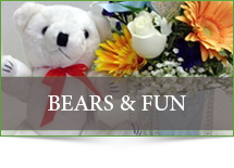 Bears and Fun