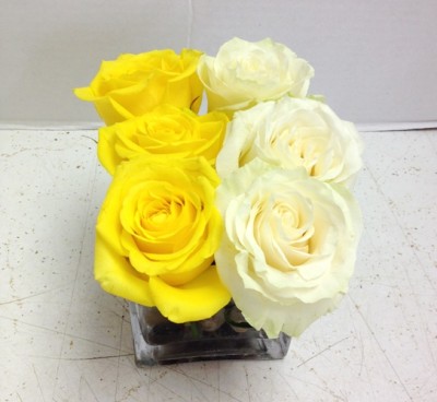 6 roses yellow and white