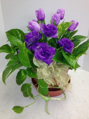 pothos and purple flowers