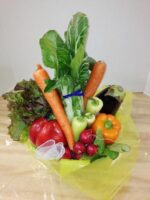 vegetable basket medium