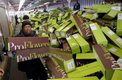 proflowers in a box