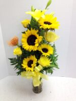 yellow sun flowers