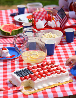 4th of July Picnic