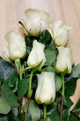 6 white roses