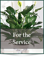 Funeral: For the Service