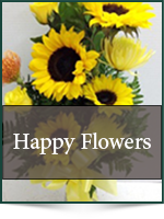 Get Well: Happy Flowers