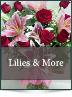 Roses: Lilies & More