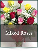 Roses: Mixed