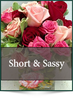 Roses: Short & Sassy