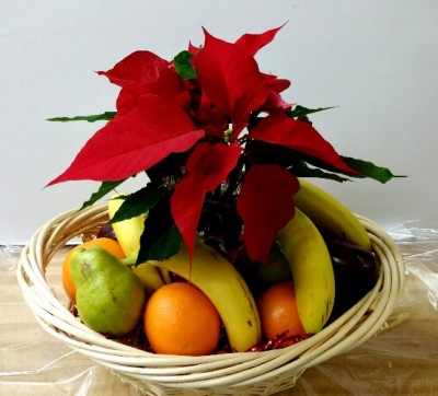 Christmassy poinsettia and fruit