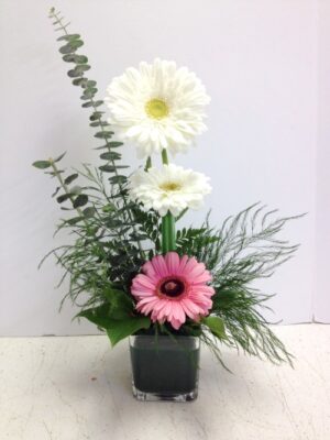 3 Gerberas